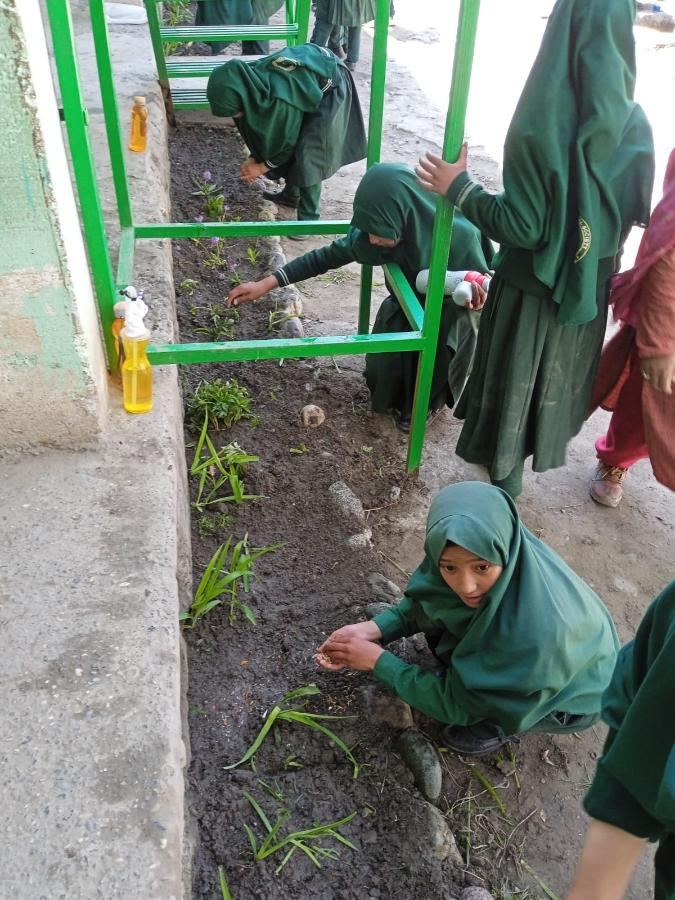 Plantation Drive organised in MPS Kanoor School